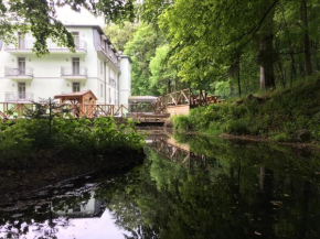 Отель Parkhotel Forest  Марианске Лазне